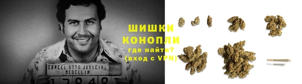 spice Алзамай